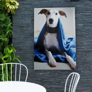 Imprenta online | imprentafacil.es